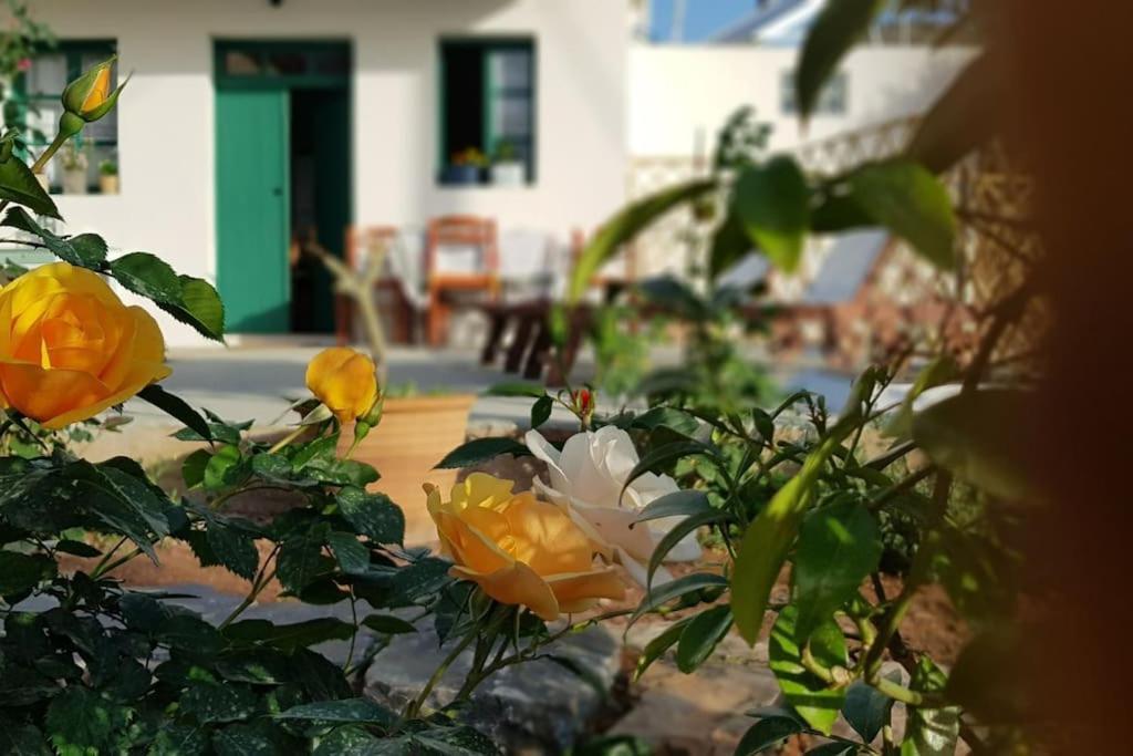 Erofili Cottage House إيلوندا المظهر الخارجي الصورة