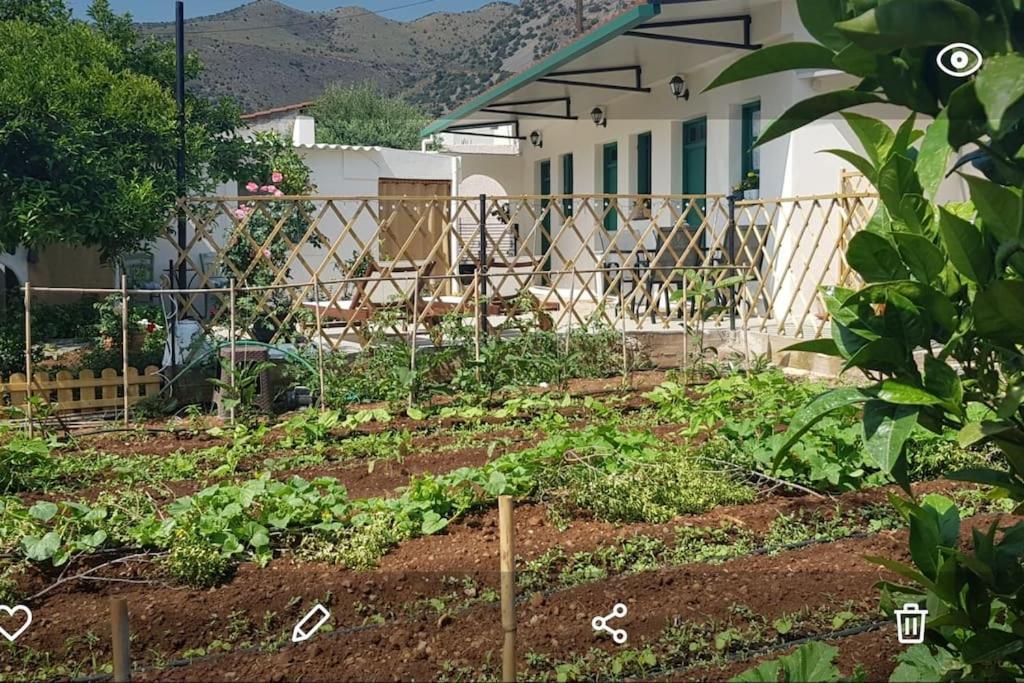 Erofili Cottage House إيلوندا المظهر الخارجي الصورة