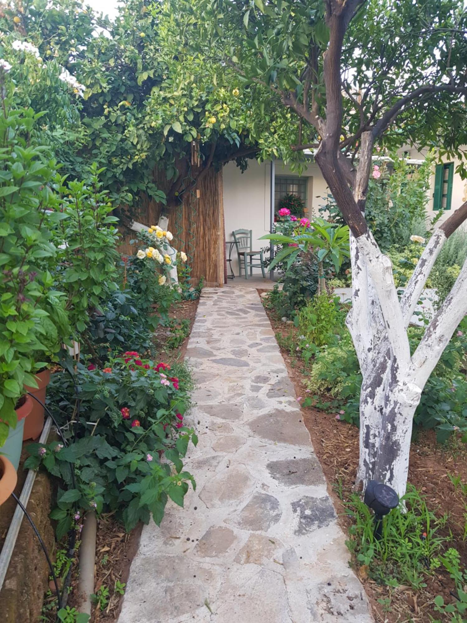 Erofili Cottage House إيلوندا المظهر الخارجي الصورة